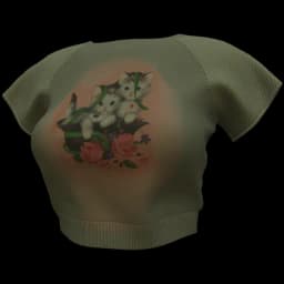 clothes/2pfokaqtdmgwk1qa.webp
