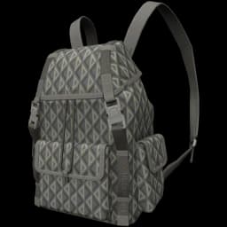 clothes/3pgln43iz65j43v8.webp