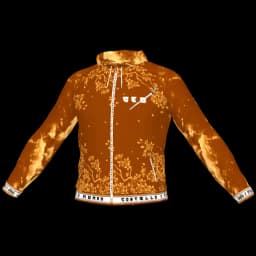clothes/dmliipau1kc63juy.webp