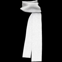 clothes/female/accessory/2054/5.webp