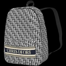 clothes/female/bag/2011/5.webp