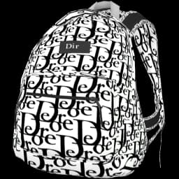 clothes/female/bag/2020/5.webp