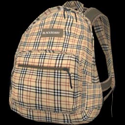 clothes/female/bag/2020/6.webp