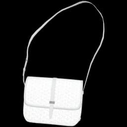 clothes/female/bag/2088/0.webp