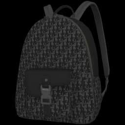 clothes/female/bag/2091/1.webp