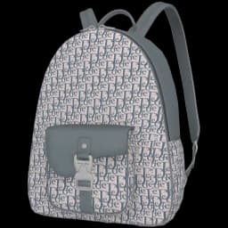 clothes/female/bag/2091/4.webp