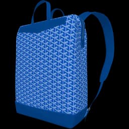 clothes/female/bag/2101/5.webp