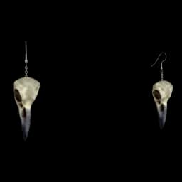 clothes/female/ear/2001/0.webp