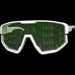 clothes/female/glasses/2009/1.webp