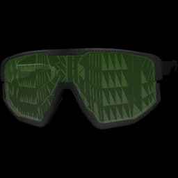 clothes/female/glasses/2009/11.webp