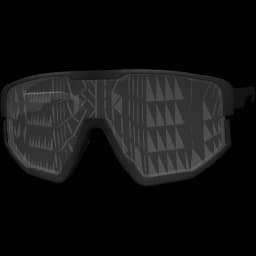 clothes/female/glasses/2009/6.webp