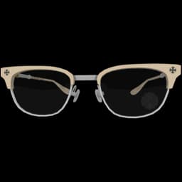 clothes/female/glasses/2037/1.webp