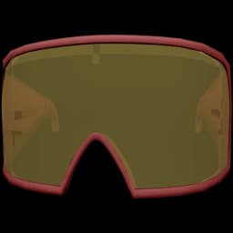 clothes/female/glasses/2038/4.webp