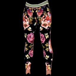 clothes/female/legs/2005/0.webp