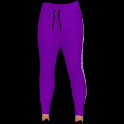 clothes/female/legs/2006/4.webp