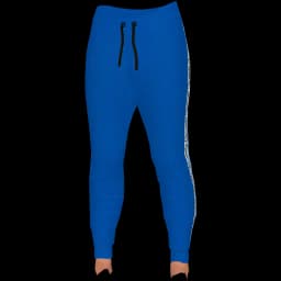 clothes/female/legs/2006/5.webp
