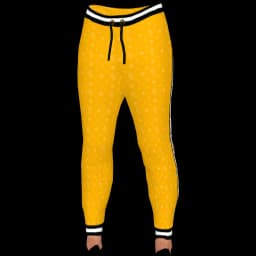 clothes/female/legs/2007/2.webp
