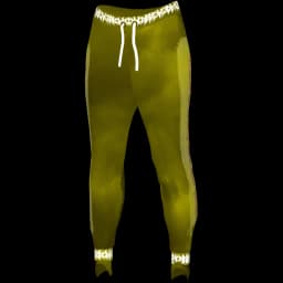 clothes/female/legs/2020/3.webp