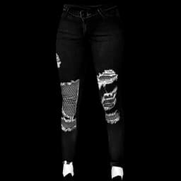 clothes/female/legs/2048/2.webp