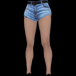 clothes/female/legs/2049/0.webp