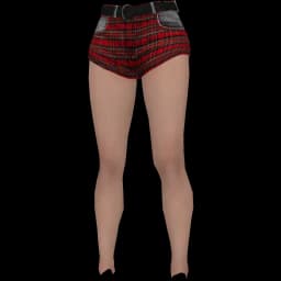 clothes/female/legs/2049/11.webp