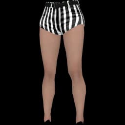 clothes/female/legs/2049/4.webp