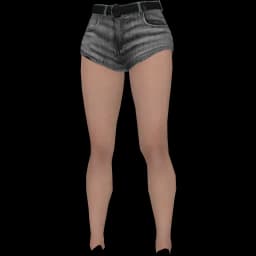 clothes/female/legs/2049/7.webp