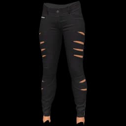 clothes/female/legs/2054/0.webp