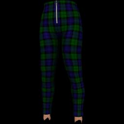 clothes/female/legs/2060/18.webp