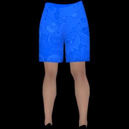 clothes/female/legs/2079/9.webp