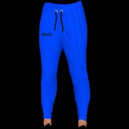 clothes/female/legs/2082/4.webp