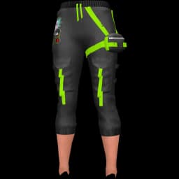 clothes/female/legs/2099/1.webp