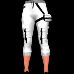 clothes/female/legs/2099/5.webp