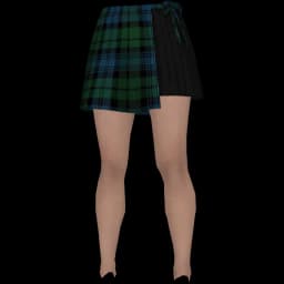 clothes/female/legs/2108/13.webp