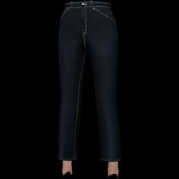 clothes/female/legs/2112/11.webp