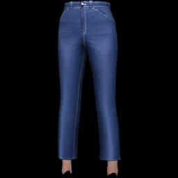 clothes/female/legs/2112/9.webp