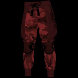 clothes/female/legs/2131/5.webp