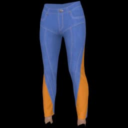 clothes/female/legs/2178/1.webp