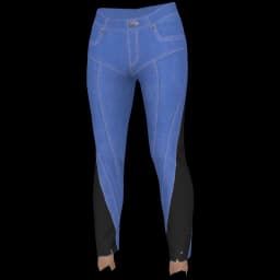 clothes/female/legs/2178/5.webp