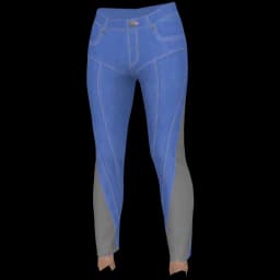 clothes/female/legs/2178/8.webp