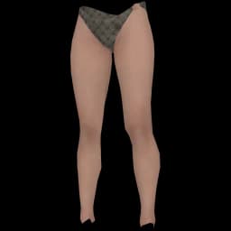 clothes/female/legs/2188/0.webp