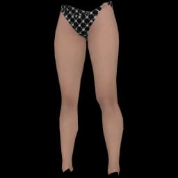 clothes/female/legs/2188/9.webp