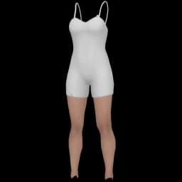 clothes/female/legs/2202/1.webp