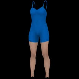 clothes/female/legs/2202/5.webp