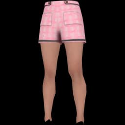 clothes/female/legs/2217/7.webp