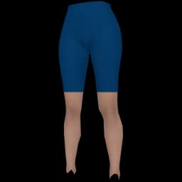 clothes/female/legs/2228/5.webp
