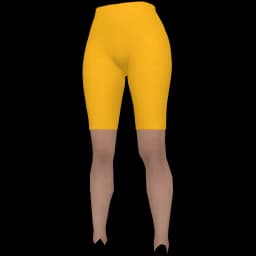 clothes/female/legs/2228/8.webp