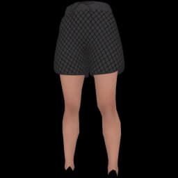 clothes/female/legs/2233/1.webp