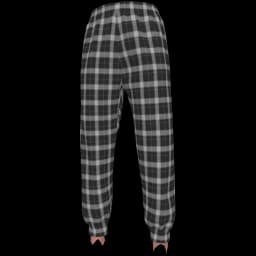 clothes/female/legs/2242/2.webp