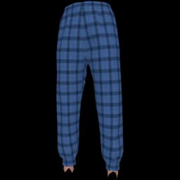 clothes/female/legs/2242/5.webp